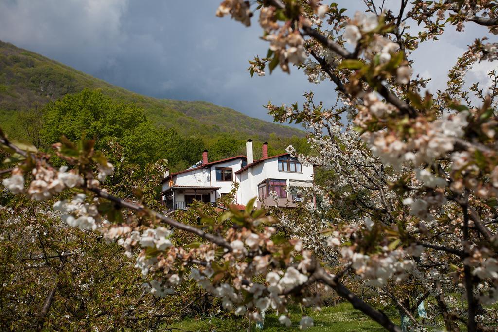 Militsa Guesthouse Naousa  ภายนอก รูปภาพ
