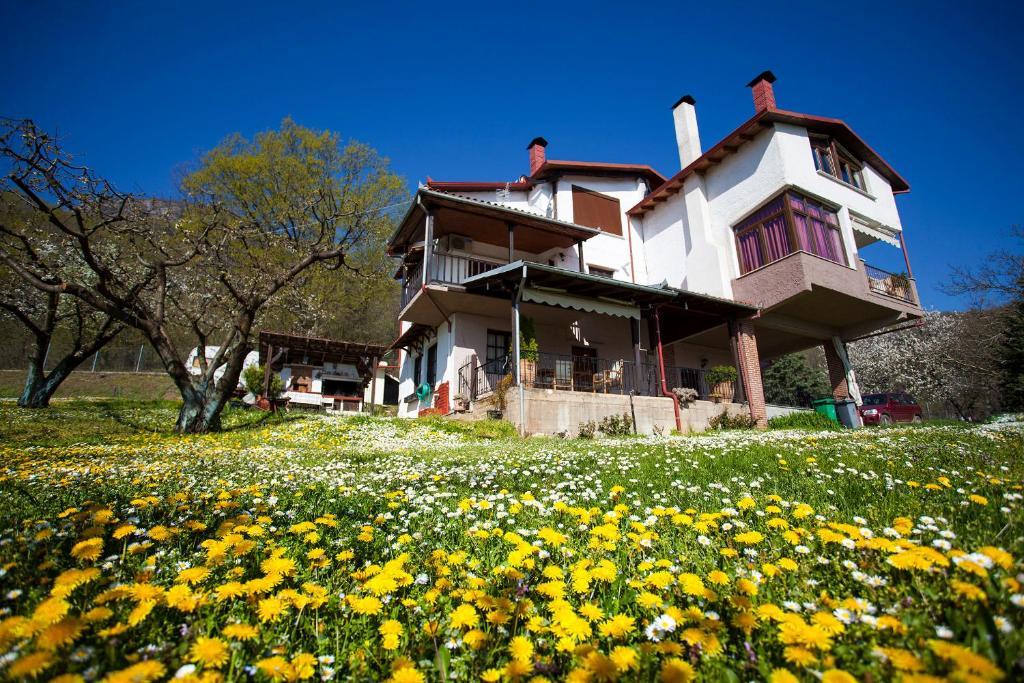 Militsa Guesthouse Naousa  ภายนอก รูปภาพ