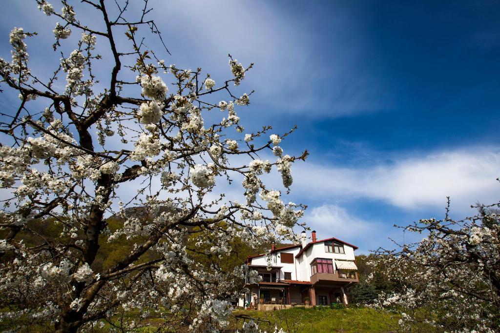 Militsa Guesthouse Naousa  ภายนอก รูปภาพ